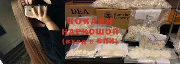 индика Абаза