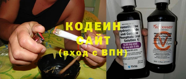 индика Абаза