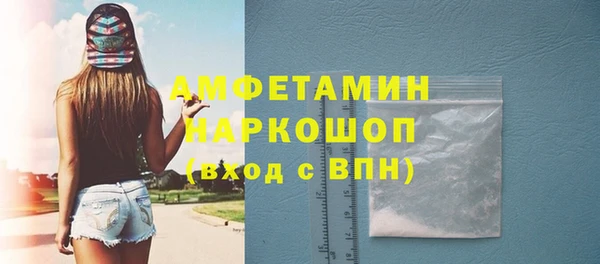 молекула духа Пестово