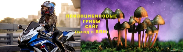 молекула духа Переславль-Залесский