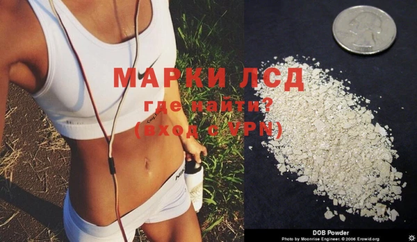 индика Абаза