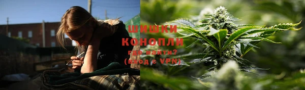 индика Абаза