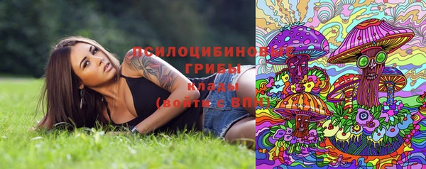 PSILOCYBIN Абинск