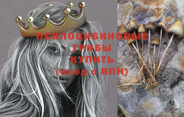 индика Абаза