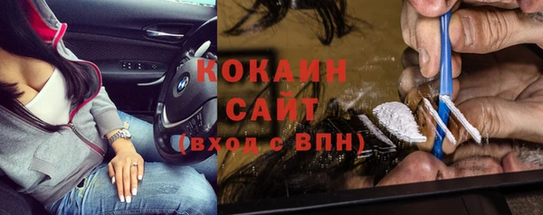 индика Абаза