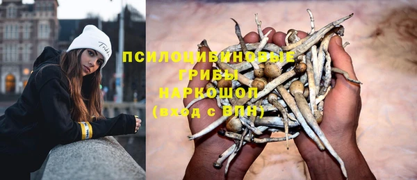 индика Абаза