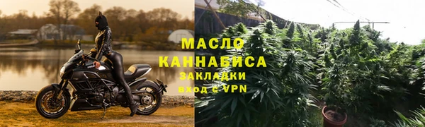 индика Абаза