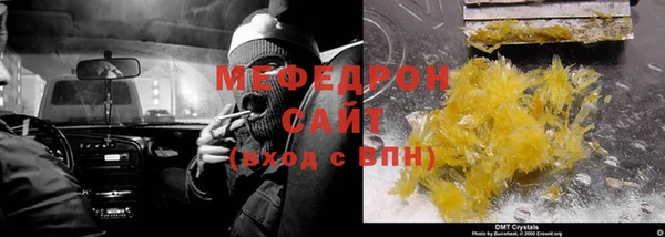 индика Абаза