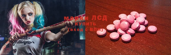 индика Абаза