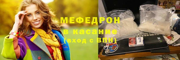 индика Абаза