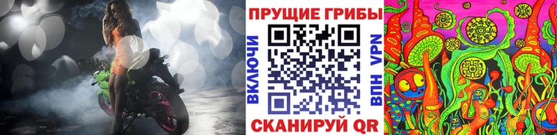 Псилоцибиновые грибы Psilocybine cubensis  ссылка на мегу ссылка  Котово 